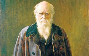 Charles Darwin Evolution